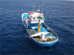 Голубой марлин - рыбалка на Канарах