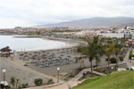 foto Torviscas Playa Tenerife