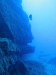 дайвинг на Йерро фото - подводные пейзажи